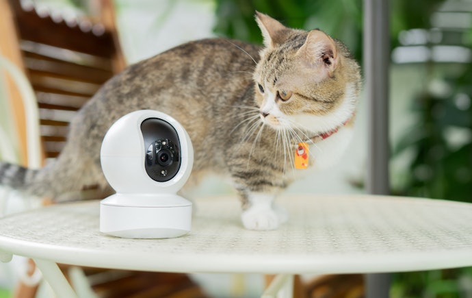 ペットや介護中の人の見守り専用なら、異変を察知しやすい