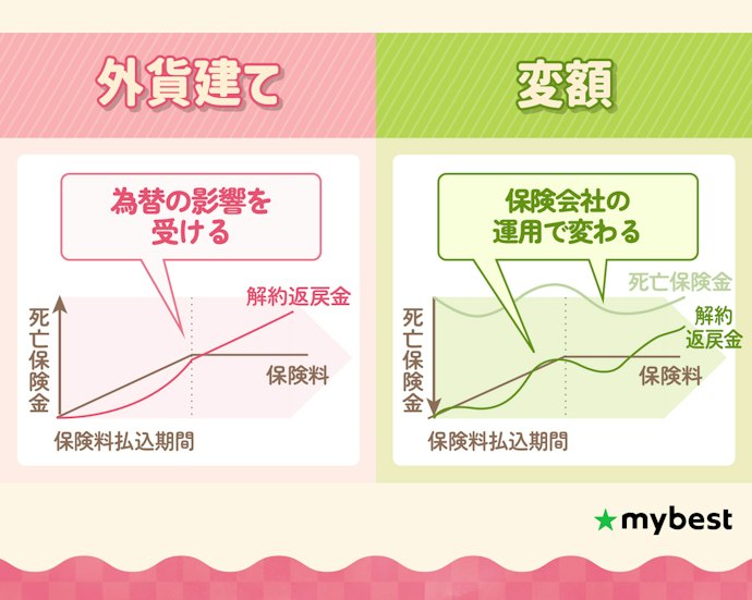 保険タイプは変額や外貨建ても候補に