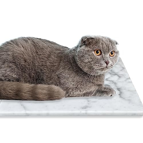 大理石:床で寝る猫にぴったり!おしゃれなアイテムがほしい人にも