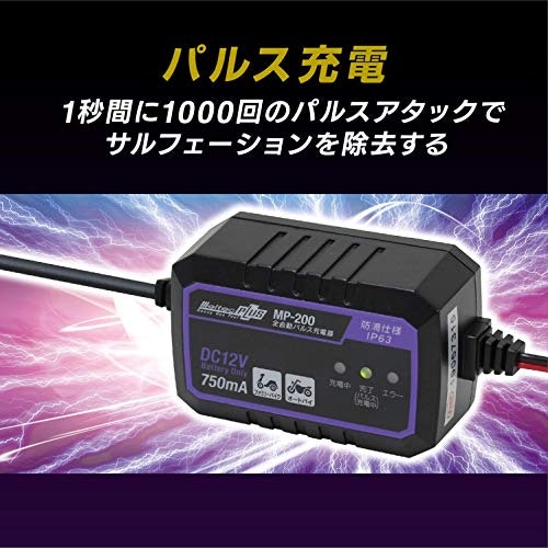 性能維持に役立てるなら、サルフェーション除去機能つきが便利