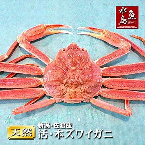 身の旨味を堪能したいなら、本ズワイガニ・紅ズワイガニを選択