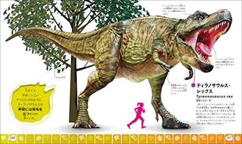 児童には、原寸大イラストや立体的に楽しめる仕掛けの本をチョイス