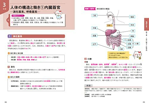 イラスト・図・表などがほどよく入ったものをチェック