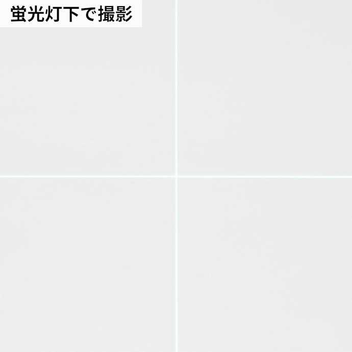 ラインの精度が十分にあり、正確な作業をサポート