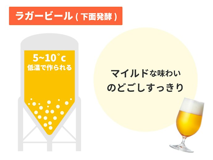 「下面発酵」でつくられる、スッキリした味わいのラガー系
