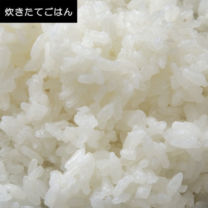 しゃっきり食感とさっぱりした味わいが特徴。味が濃いおかずと好相性