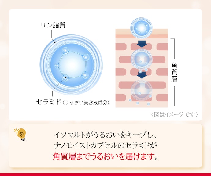 POINT② うるおい