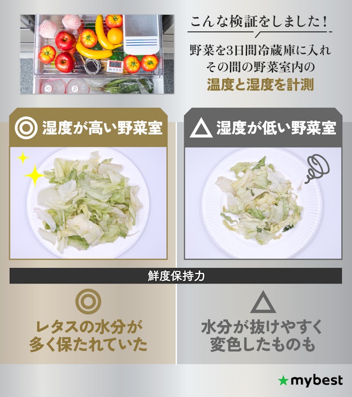 野菜室の鮮度維持力は湿度で決まる!湿度が高い商品を選ぼう