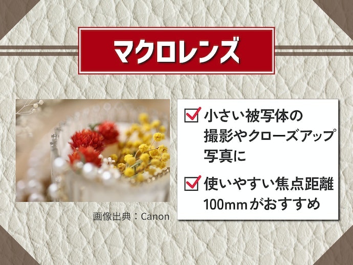 マクロ:花や虫など小さな被写体の世界を切り取りたい人におすすめ