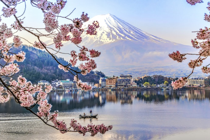 春にはかわいいピンクの「桜」のフレーバーがおすすめ