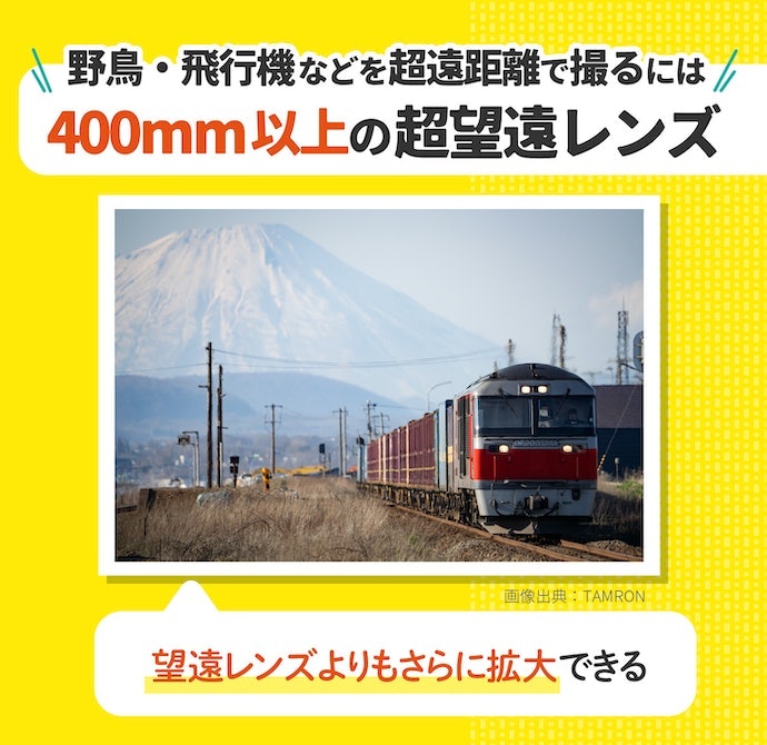 超望遠(400mm以上):飛行機・野鳥・野生動物の撮影におすすめ