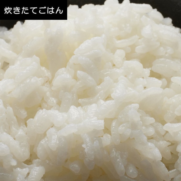 食欲をそそられるお米の香りとやさしい甘さを感じられる。適度な粘りとしっかりとした粒感が特徴