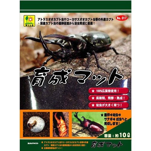 マットを食べて成長する幼虫には、栄養価が高い発酵マットがうってつけ