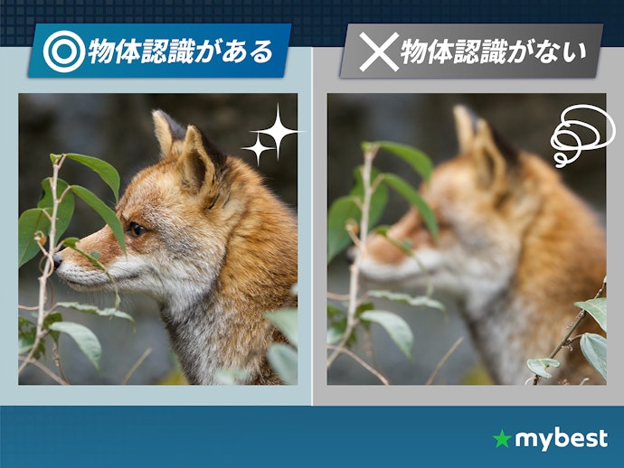 動く被写体を撮りたいならAF性能に注目。物体認識が充実しているものほど初心者向き