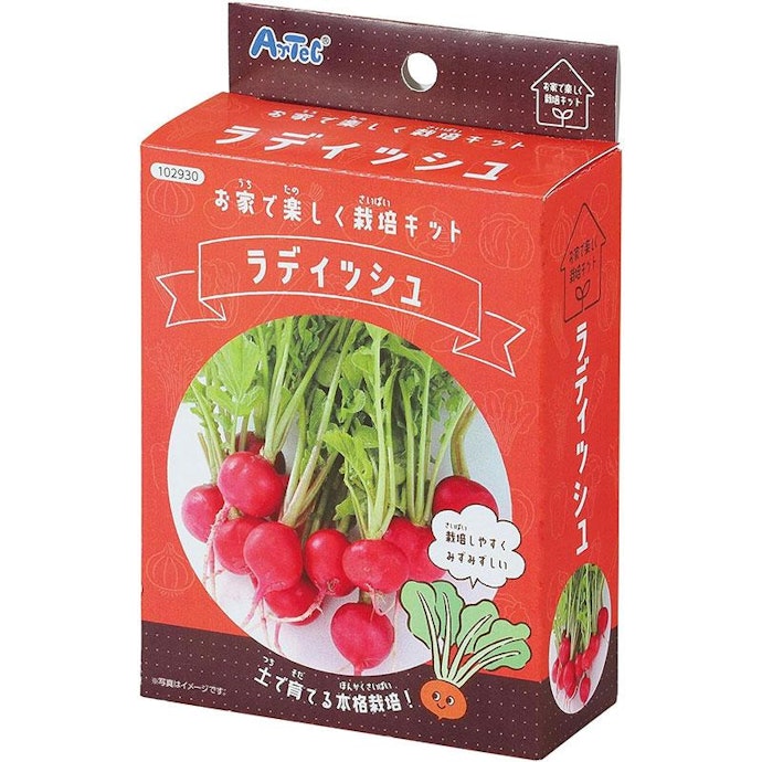 栽培系:実際に食べられる野菜キットで楽しく栽培しよう!