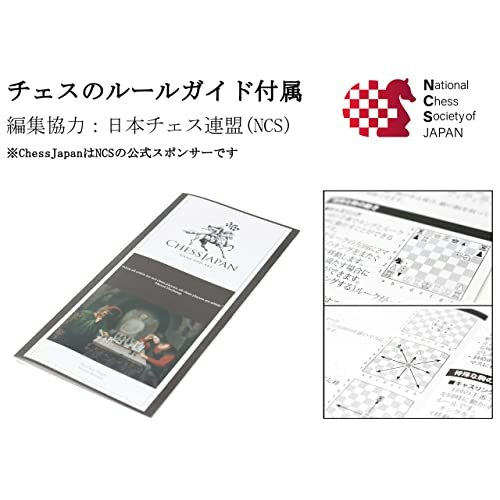 ルールをきちんと覚えるなら動かし方ガイドつきにしよう