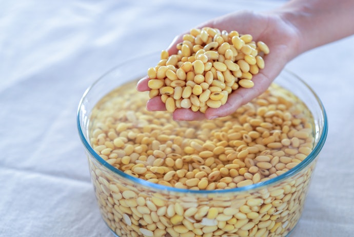 薄めの味が好みなら、水に浸した大豆を調理するものでOK
