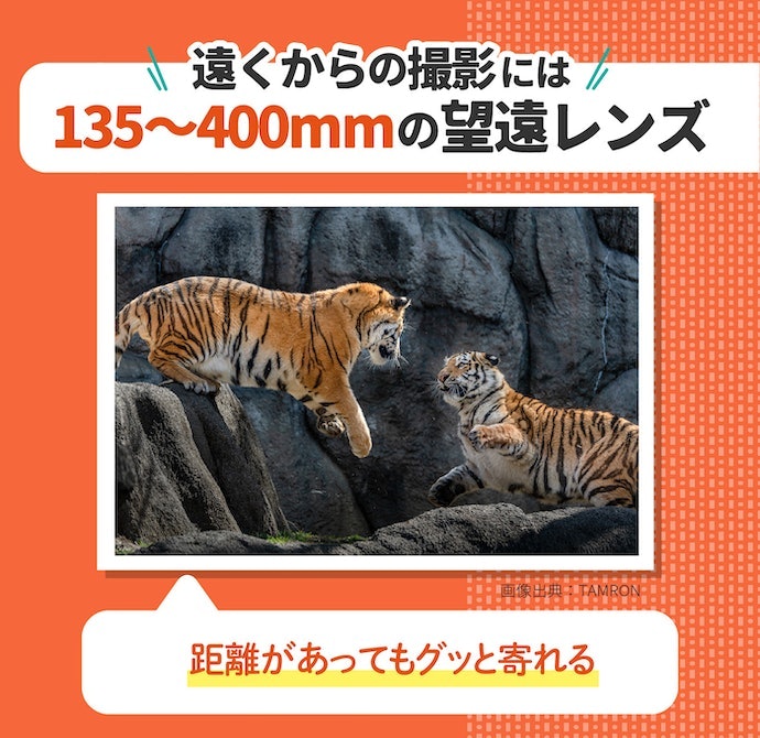 望遠(135〜400mm):運動会や動物園での撮影にぴったり
