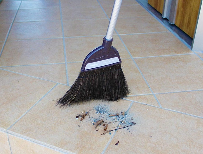 チリや砂ぼこりなどの細かいゴミには、黒シダをチェック