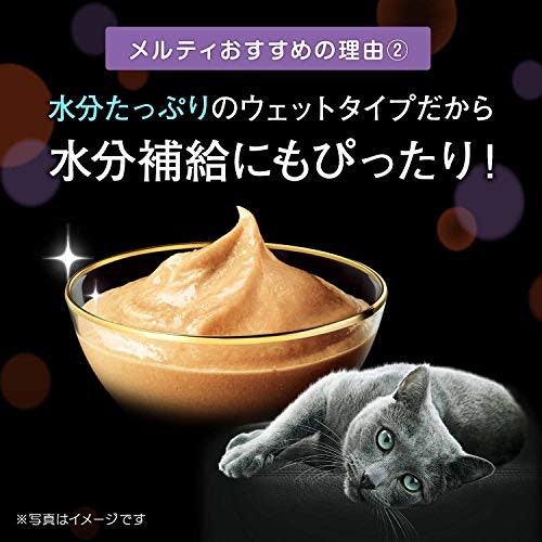 猫の水分補給には、ウェットタイプがおすすめ