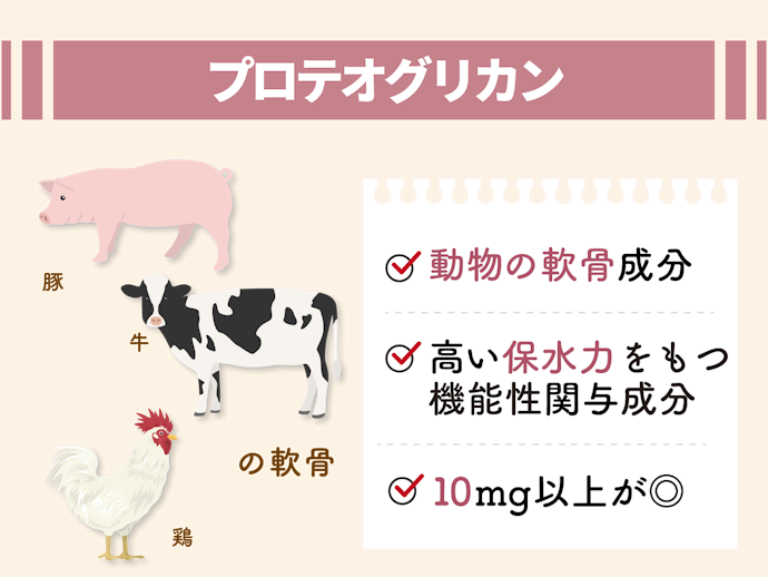 プロテオグリカン:膝関節の可動性をサポートする機能性関与成分