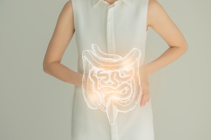 腸内環境から免疫をサポートしたい人には乳酸菌