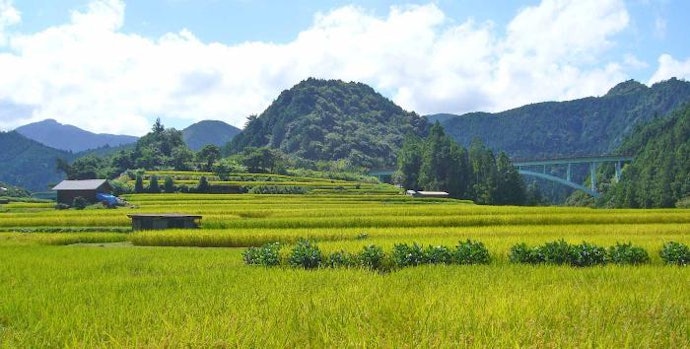 有田・日高・熊野エリアで自然が織りなす絶景や新鮮な海の幸を堪能しよう