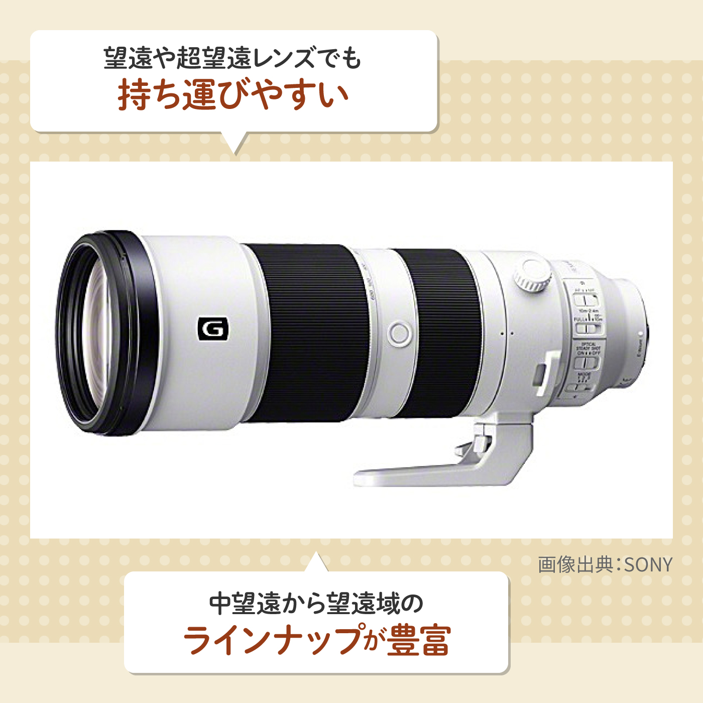 野鳥撮影用レンズのおすすめ人気ランキング【2025年】 | マイベスト