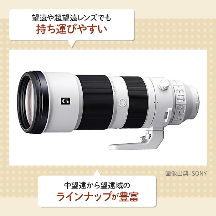 ソニーのレンズは小型軽量モデルが多く、持ったまま移動しやすい