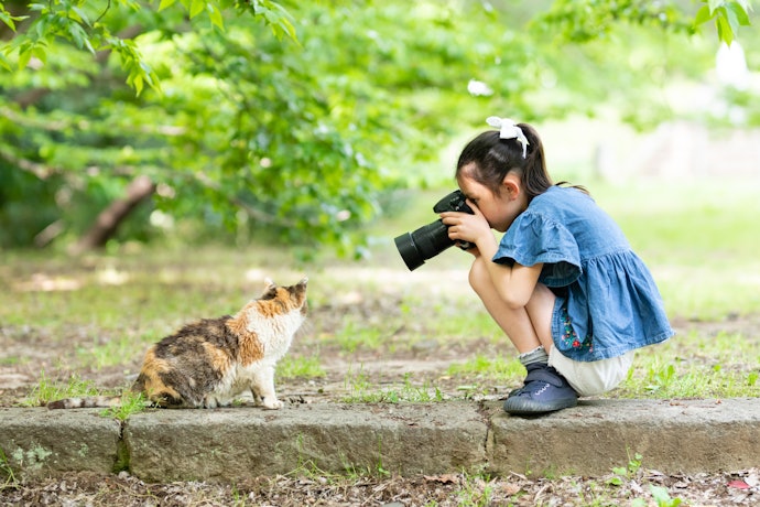 幅広い撮影に使いたければ、焦点距離50mm前後の標準レンズがマッチ
