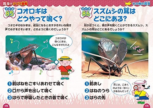 5歳以上の子どもには、昆虫に興味をもたせる工夫が満載の図鑑をセレクト