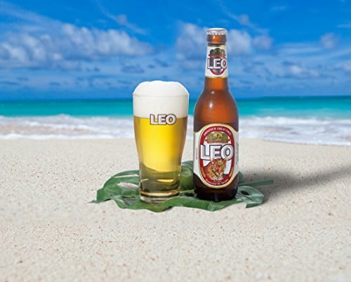 レオ:タイ流に氷を入れて飲んでみたいならコレ!