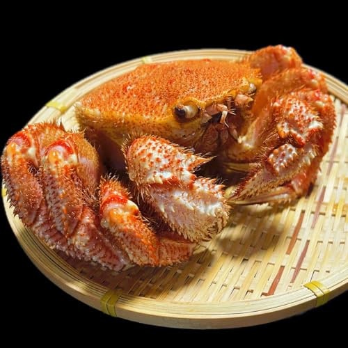 カニ味噌や濃厚な旨みを楽しみたいなら毛ガニがおすすめ