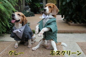 実寸より大きめサイズで動きやすさアップ