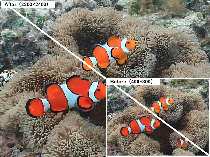 ダイビングで水中撮影した熱帯魚の模様がくっきり!8倍に拡大しても画質はキープ