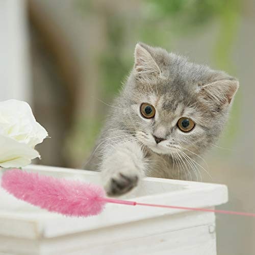 飼い主がおもちゃ初心者なら、様子を見ながら使える猫じゃらし・釣り竿タイプ