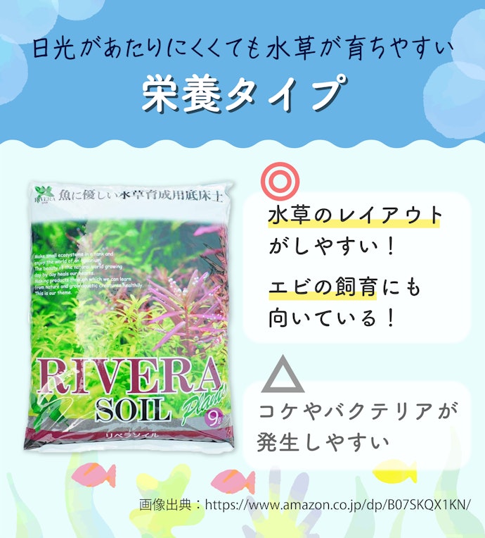 栄養タイプは水草育成のための栄養が豊富。水草をたっぷりと育てたい人におすすめ