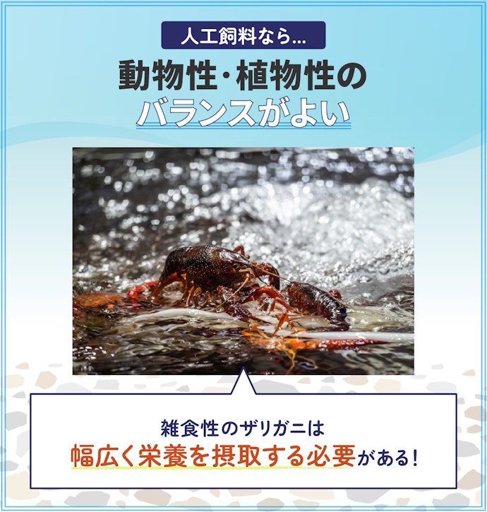 基本は人工飼料をメインにするのがベター