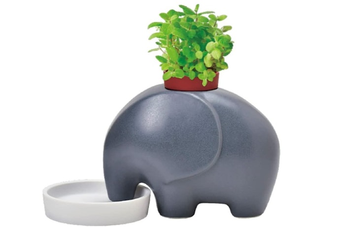 温かみのあるデザインが好きなら、陶器入りがぴったり