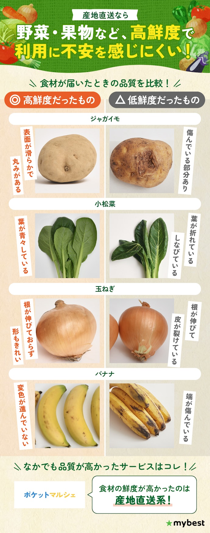 野菜の品質を重視するなら、産地直送のサービスがおすすめ!