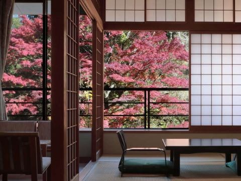 手厚いサービスを受けたいなら高級旅館がぴったり