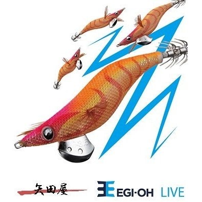 発光するタイプもチェック。夜はグロー、日中はケイムラがおすすめ