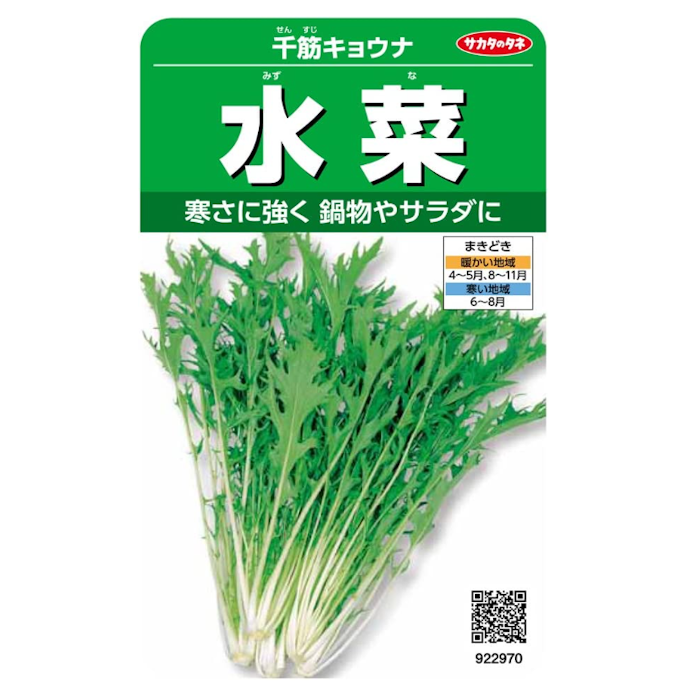 冬に収穫したいなら秋〜冬向け野菜を選ぼう