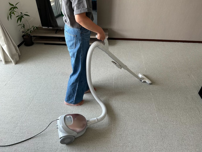 掃除機のかけやすさは、全然問題なし