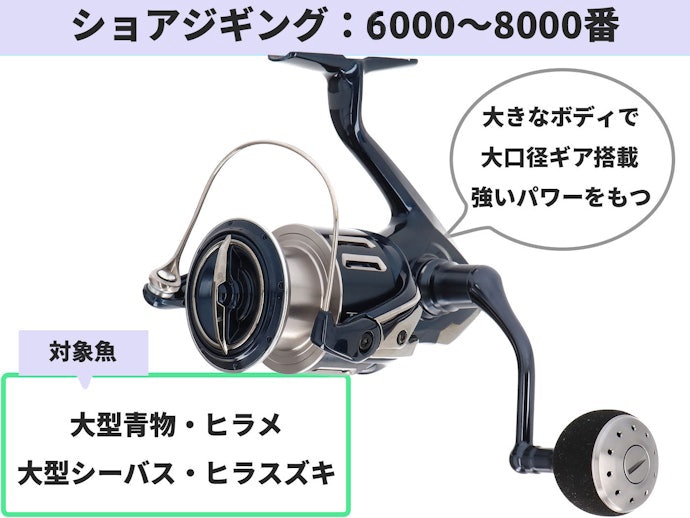 大物を狙うショアジギングには6000~8000番がおすすめ