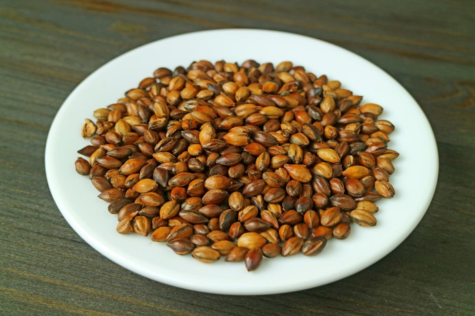 麦ならではの香ばしさを楽しみたいなら大麦をチョイス