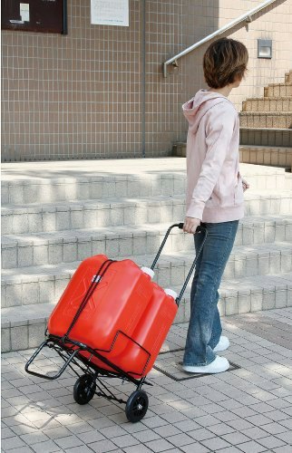 大きな荷物を運ぶなら、荷台に固定するタイプが候補に
