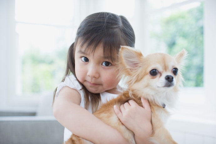 小さな子どもやペットがいる家庭は自然由来や無香料のスプレーがおすすめ