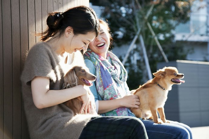 ペット可の宿であれば、愛犬と一緒に旅行ができる