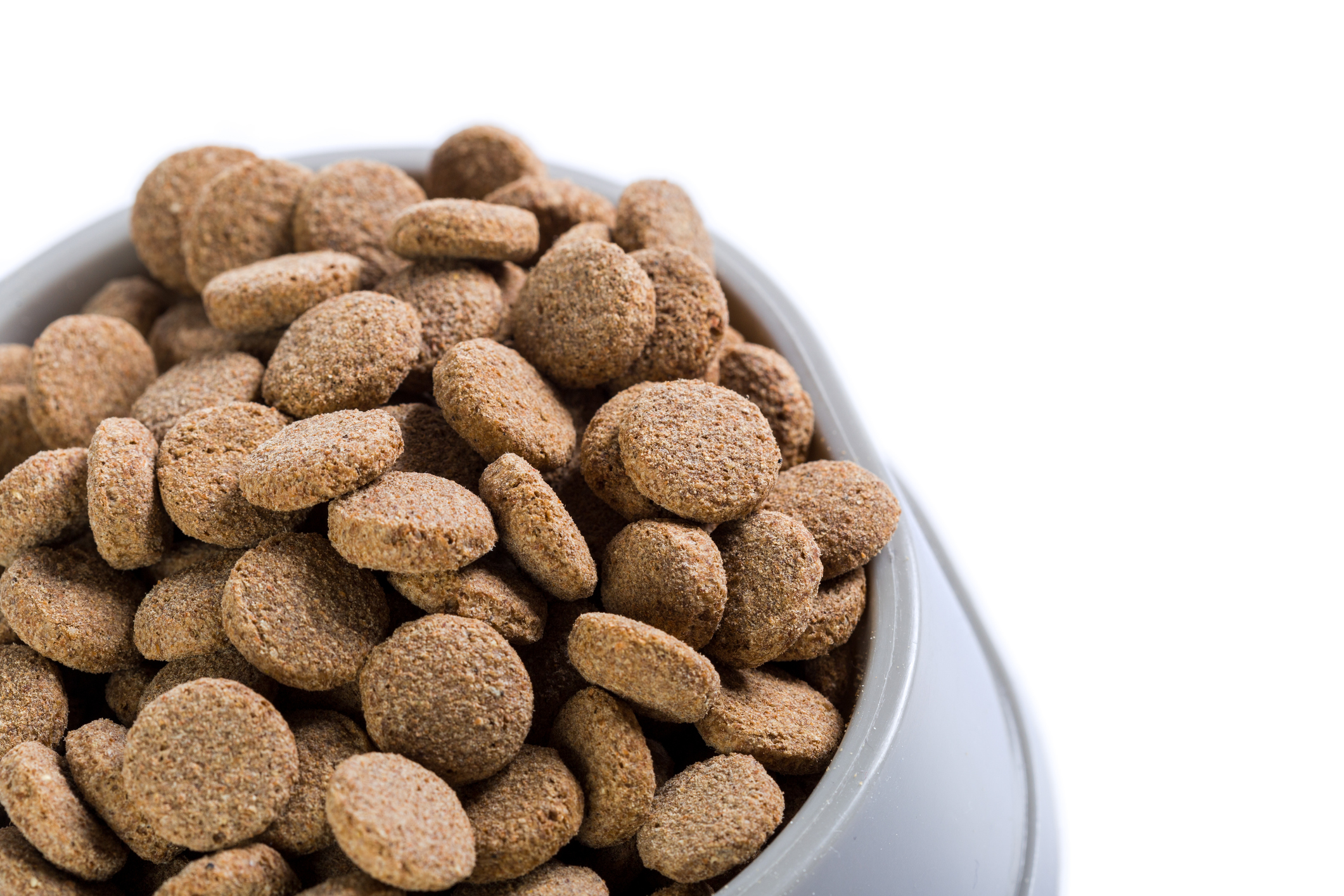 高級ドッグフードのおすすめ人気ランキング【2025年】 | マイベスト